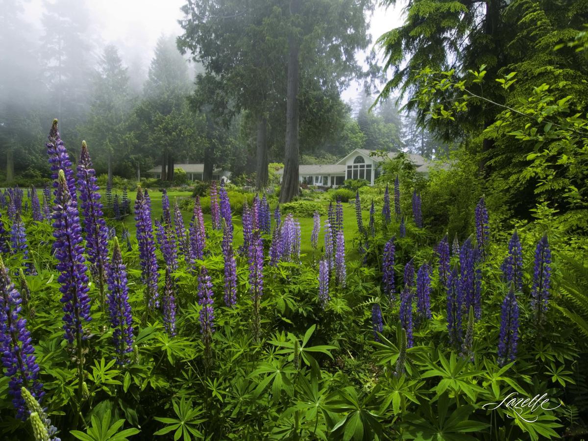 Colette'S Bed & Breakfast Port Angeles Exterior foto